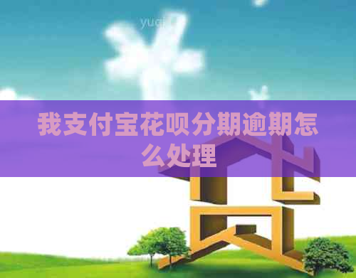 我支付宝花呗分期逾期怎么处理