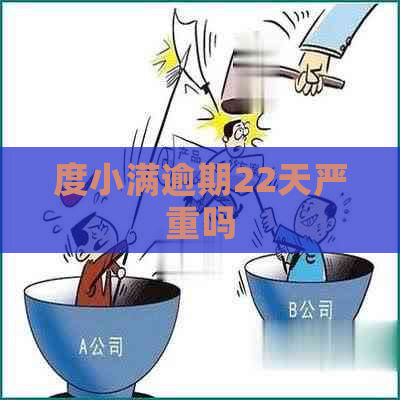 度小满逾期22天严重吗