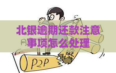 北银逾期还款注意事项怎么处理