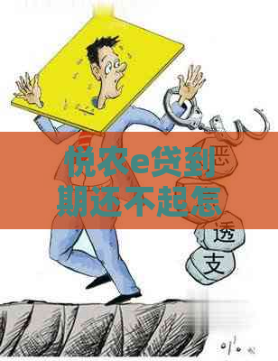 悦农e贷到期还不起怎么办
