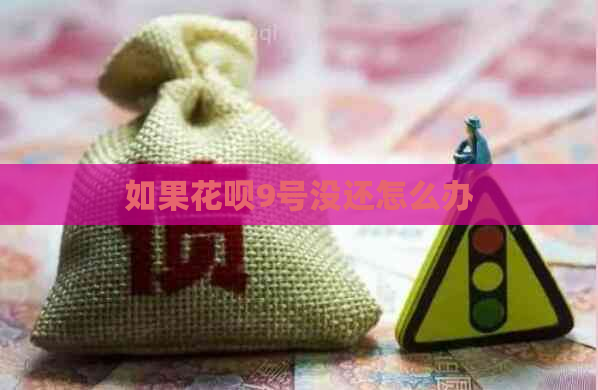 如果花呗9号没还怎么办