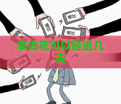 拿去花可以延迟几天