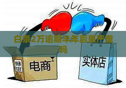 白条2万逾期半年后果严重吗