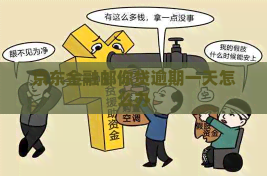 京东金融邮你贷逾期一天怎么办