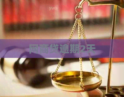 白条贷逾期2天