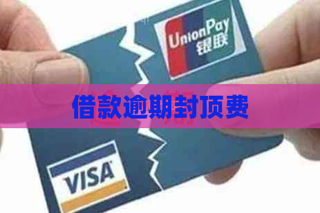 借款逾期封顶费 借款逾期封顶费
