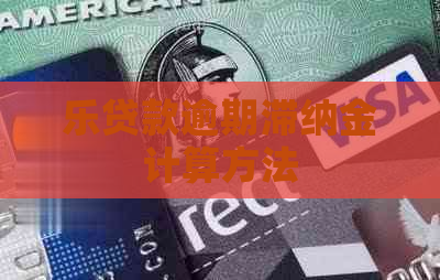 乐贷款逾期滞纳金计算方法