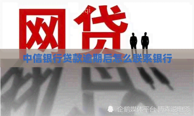 中信银行贷款逾期后怎么联系银行