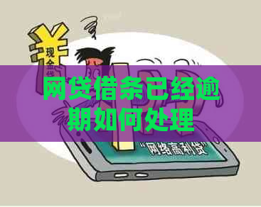 网贷借条已经逾期如何处理