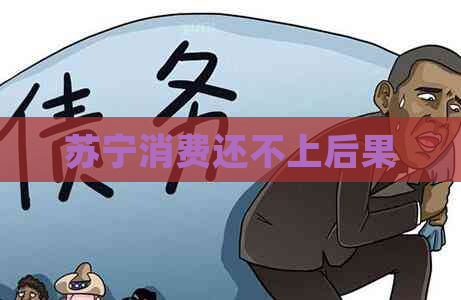 苏宁消费还不上后果