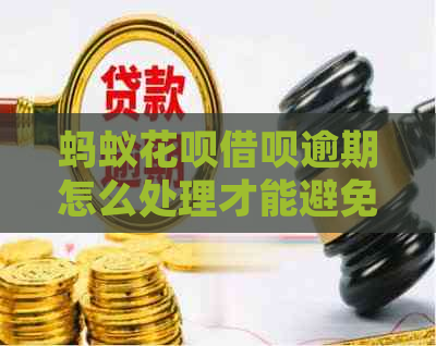 蚂蚁花呗借呗逾期怎么处理才能避免影响信用