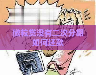 微粒贷没有二次分期如何还款