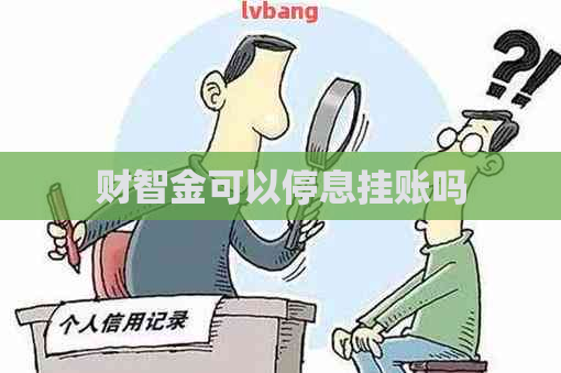 财智金可以停息挂账吗