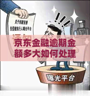 京东金融逾期金额多大如何处理