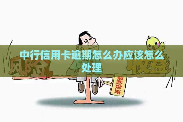 中行信用卡逾期怎么办应该怎么处理