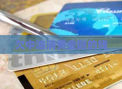 欠中油消费金融的钱
