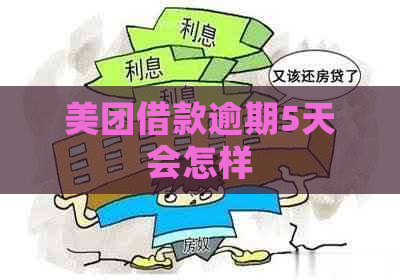 美团借款逾期5天会怎样