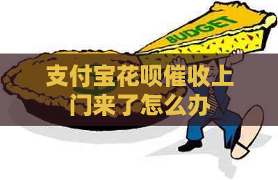 支付宝花呗上门来了怎么办