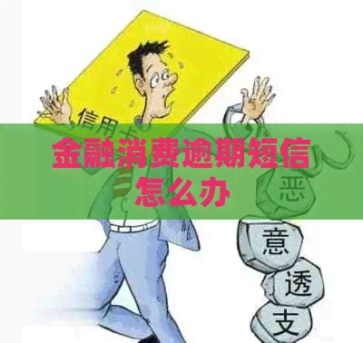 金融消费逾期短信怎么办