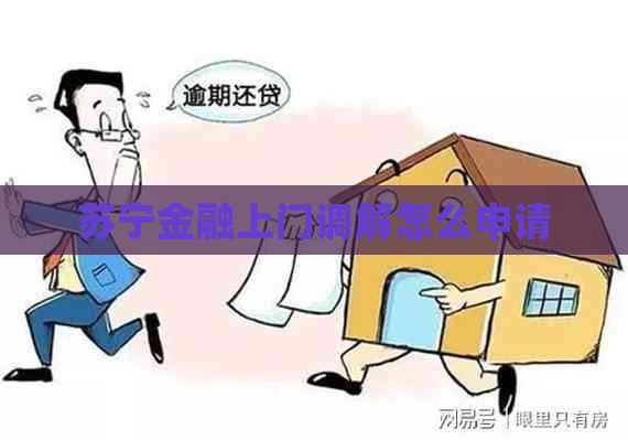 苏宁金融上门调解怎么申请