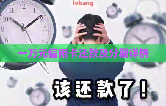 一万元信用卡还款及分期详情