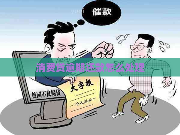 消费贷逾期还款怎么处理