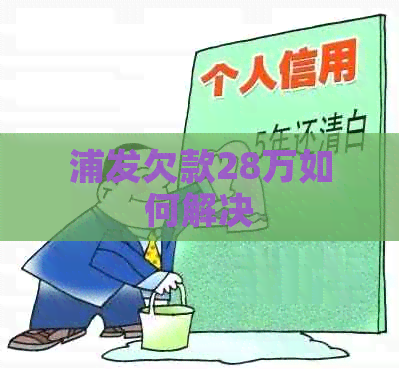 浦发欠款28万如何解决