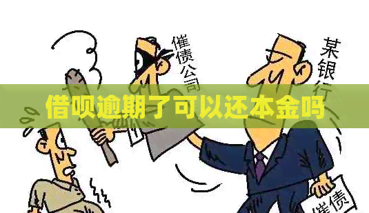 信用卡逾期了可以还本金吗
