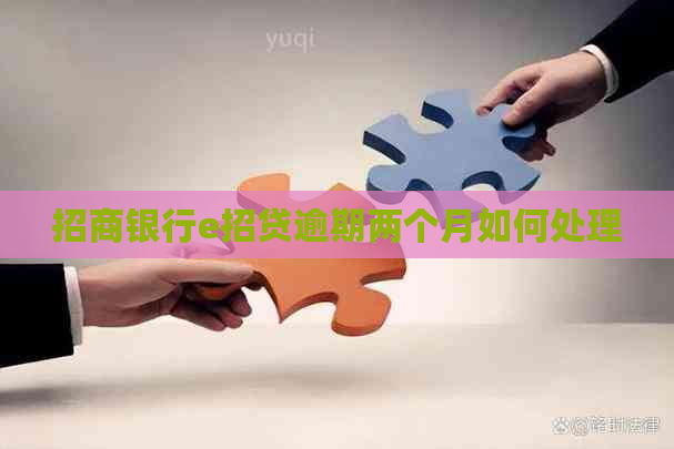 招商银行e招贷逾期两个月如何处理