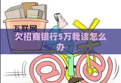 欠招商银行5万我该怎么办