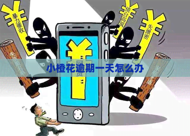 小橙花逾期一天怎么办