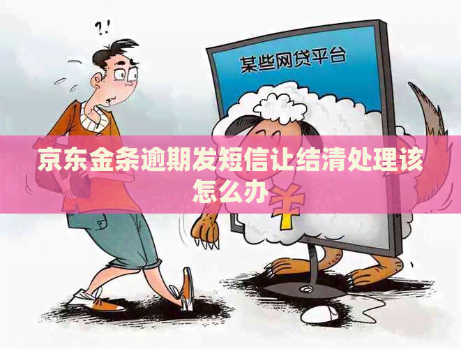 京东金条逾期发短信让结清处理该怎么办