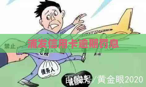 浦发信用卡逾期罚息