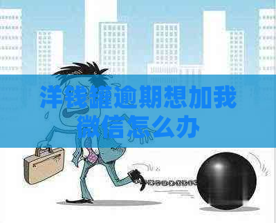 洋钱罐逾期想加我微信怎么办