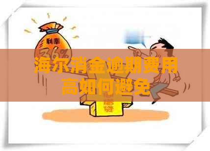 海尔消金逾期费用高如何避免