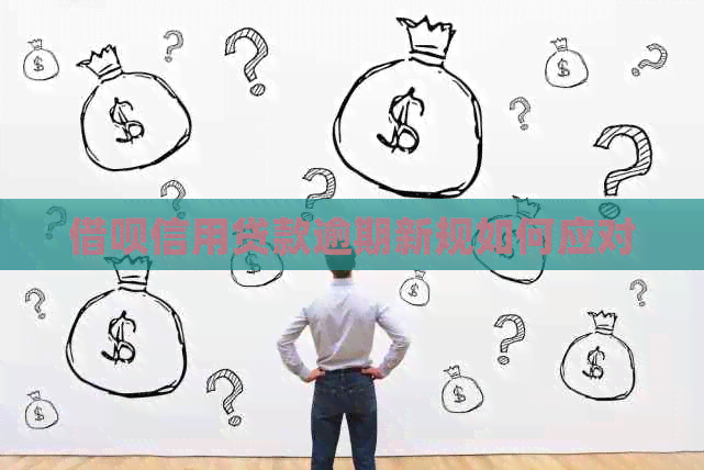 信用卡信用贷款逾期新规如何应对