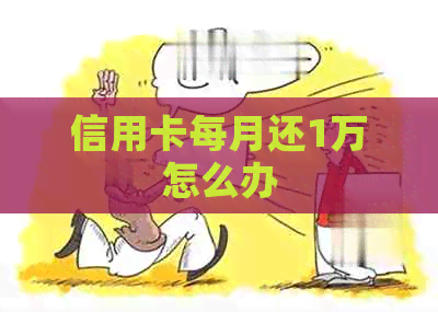 信用卡每月还1万怎么办