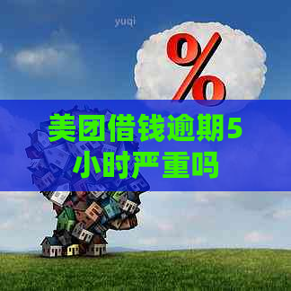 美团借钱逾期5小时严重吗