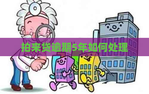 拍来贷逾期5年如何处理