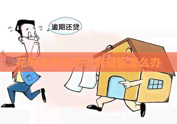 白条逾期收到诉前短信怎么办