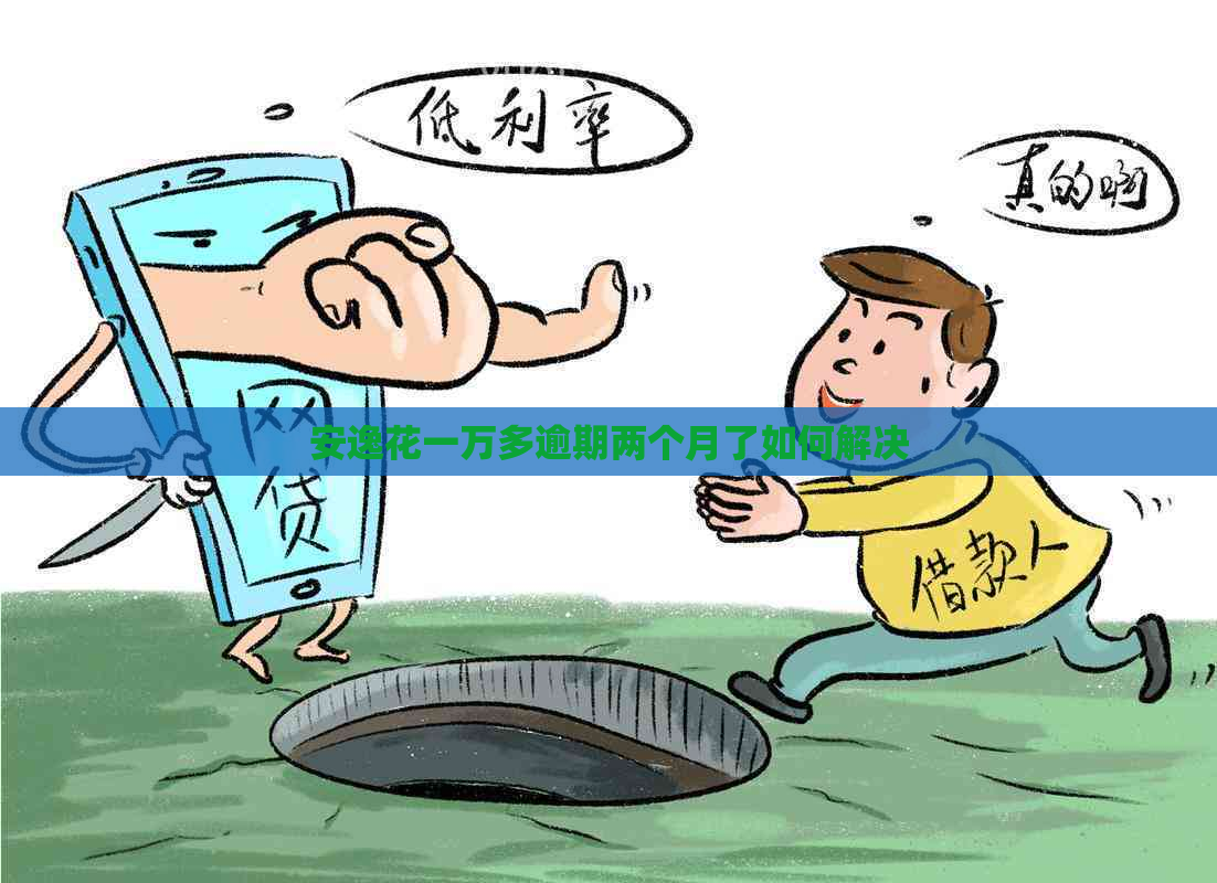 安逸花一万多逾期两个月了如何解决