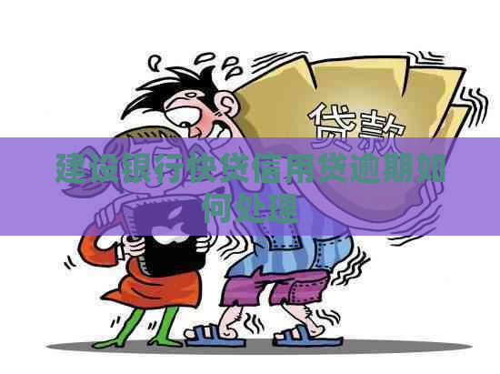 建设银行快贷信用贷逾期如何处理