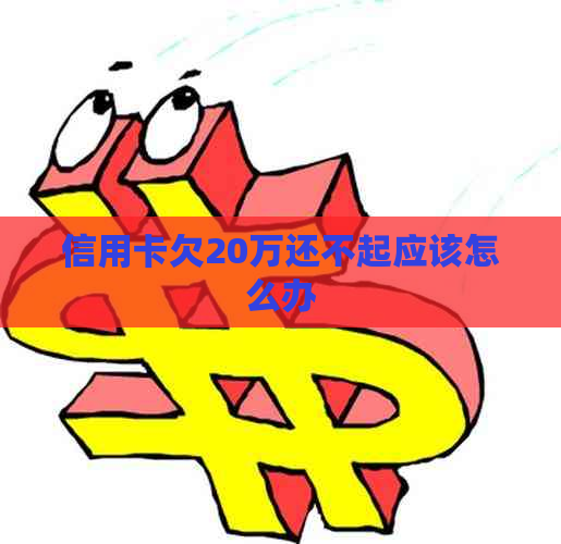 信用卡欠20万还不起应该怎么办