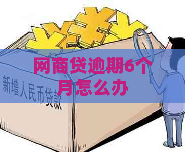 网商贷逾期6个月怎么办