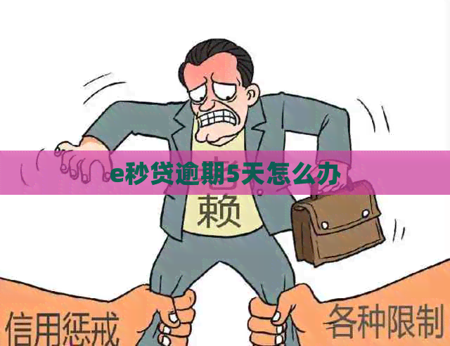 e秒贷逾期5天怎么办