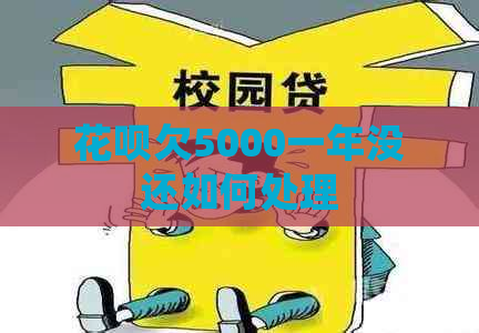 花呗欠5000一年没还如何处理