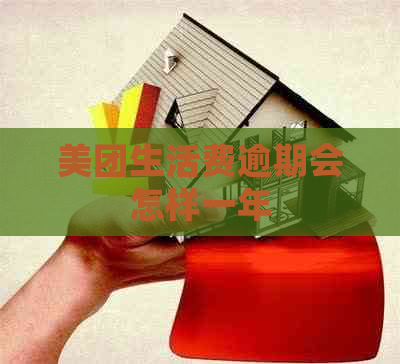 美团生活费逾期会怎样一年