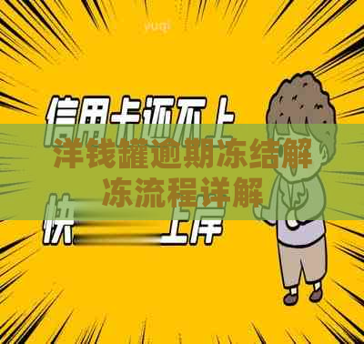 洋钱罐逾期冻结解冻流程详解