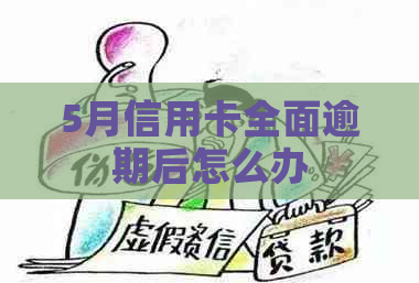 5月信用卡全面逾期后怎么办