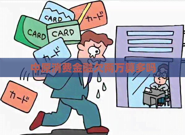 中原消费金融欠两万算多吗